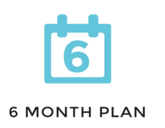 PS4 - 6 Month Subscription Plan